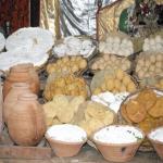 Vraj-Yatra-2014- (939)